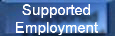 Supported Employment